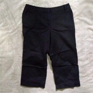 Ann Taylor Loft Cropped Dress Pants